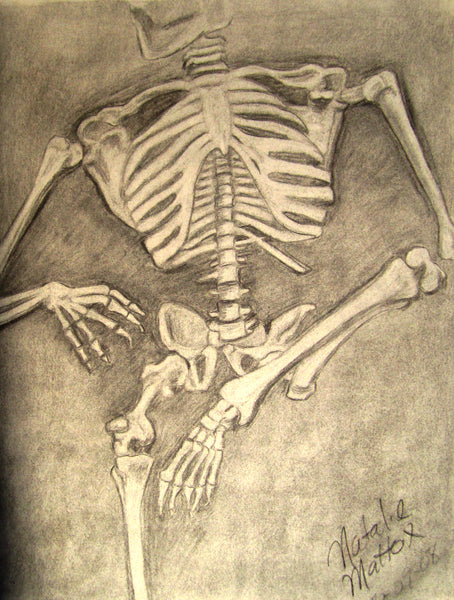 Skeleton 1 and 2